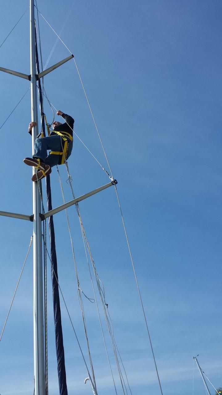 Bavaria 32