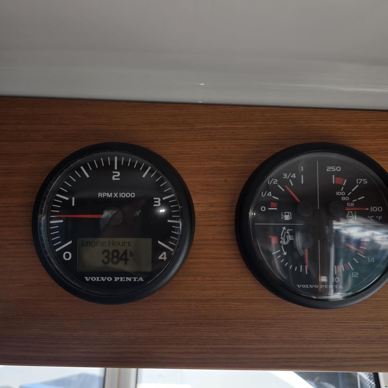 Sargo 28