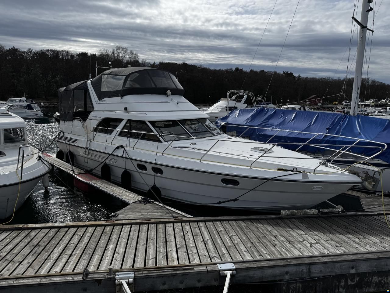 Princess 435