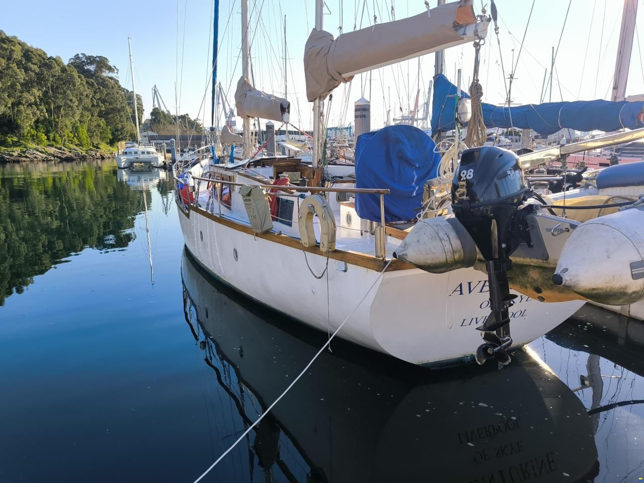 Samson C Baron 55