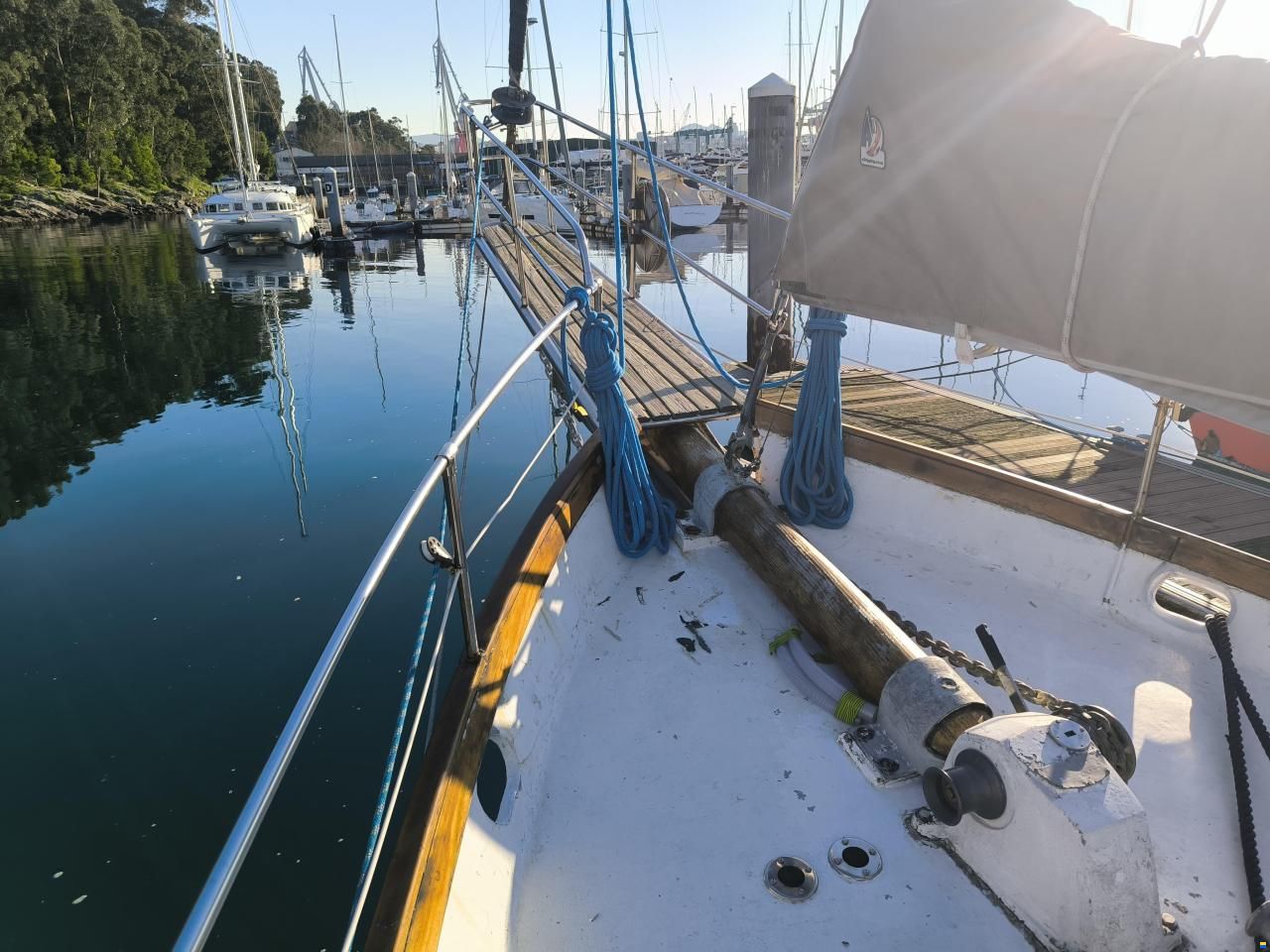 Samson C Baron 55