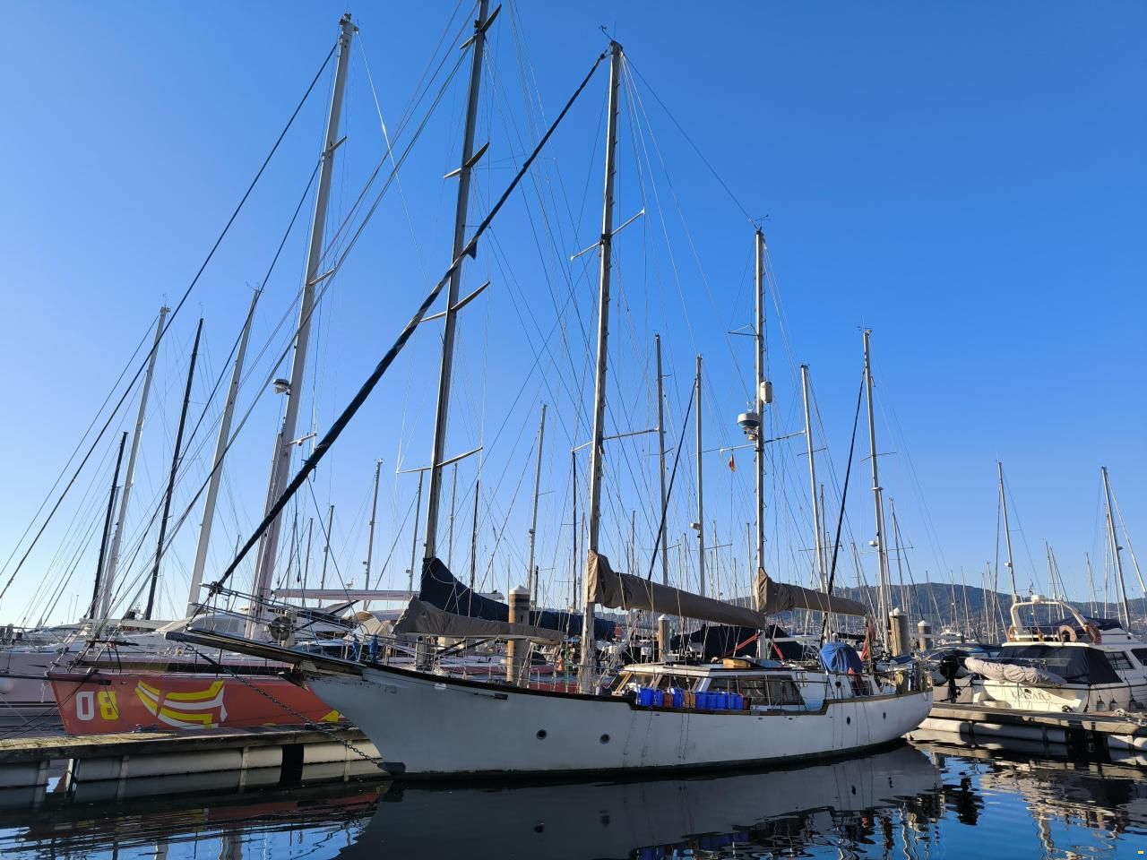 Samson C Baron 55