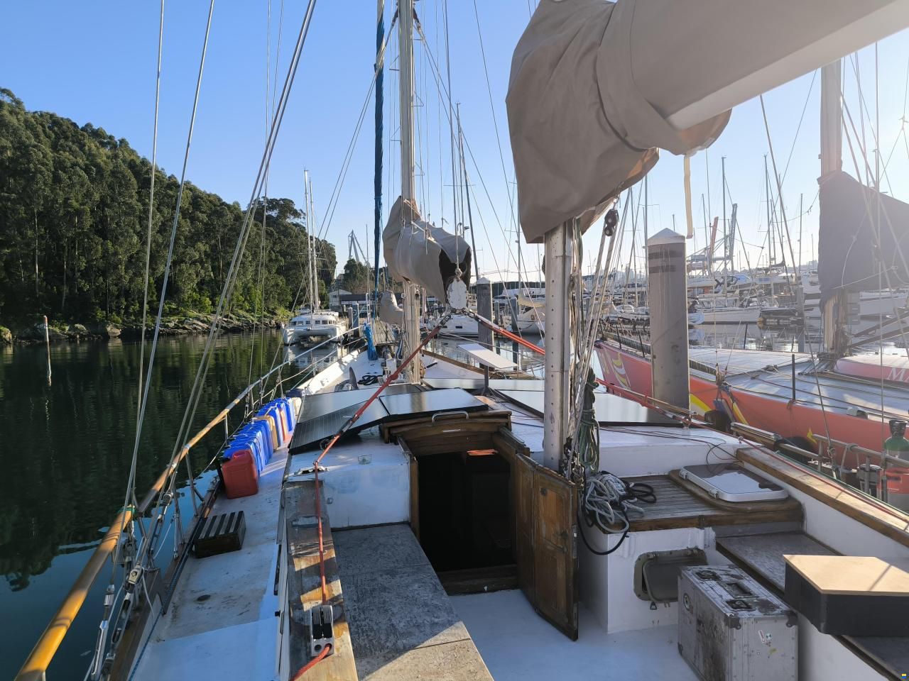 Samson C Baron 55
