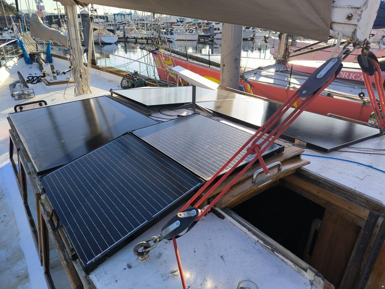 Samson C Baron 55