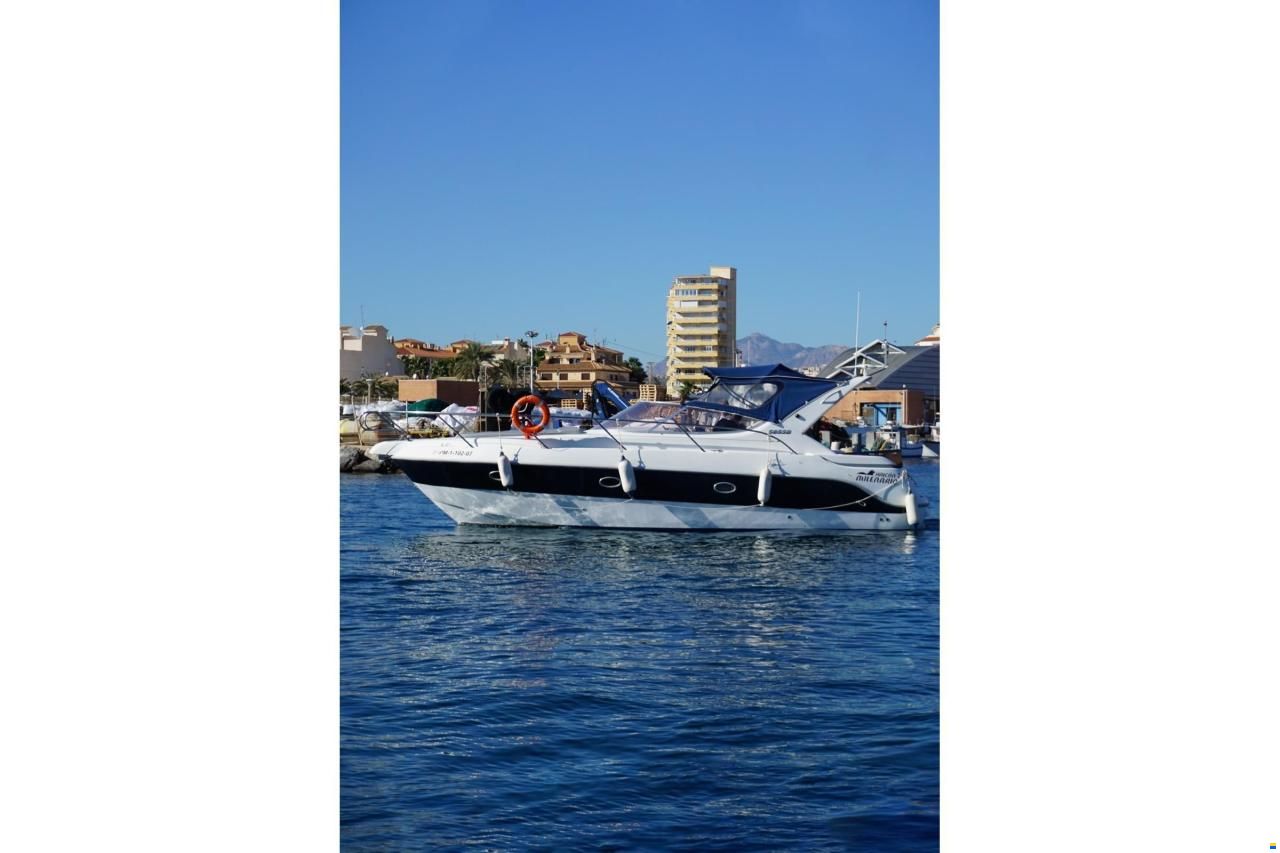 Sessa Oyster 30