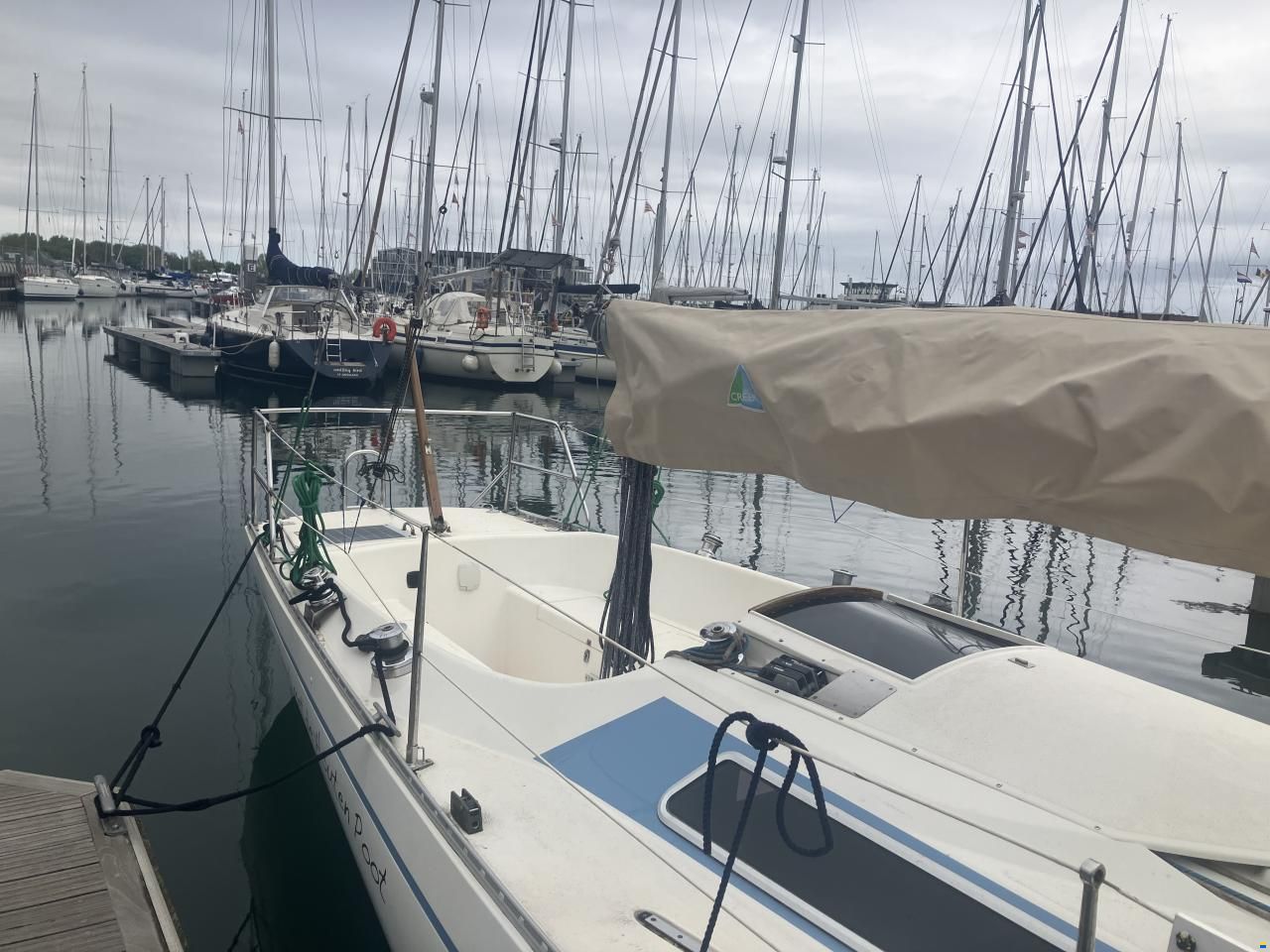 Helmsmann Helmsman Lady Helmsman