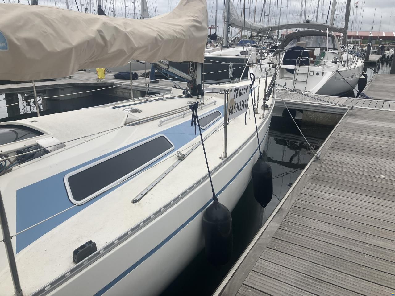 Helmsmann Helmsman Lady Helmsman