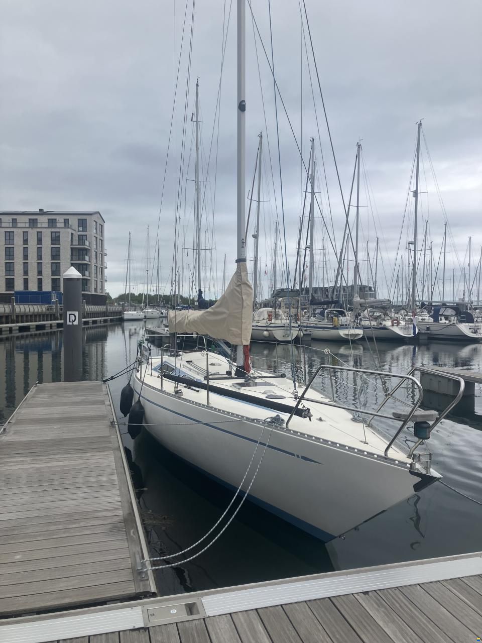 Helmsmann Helmsman Lady Helmsman