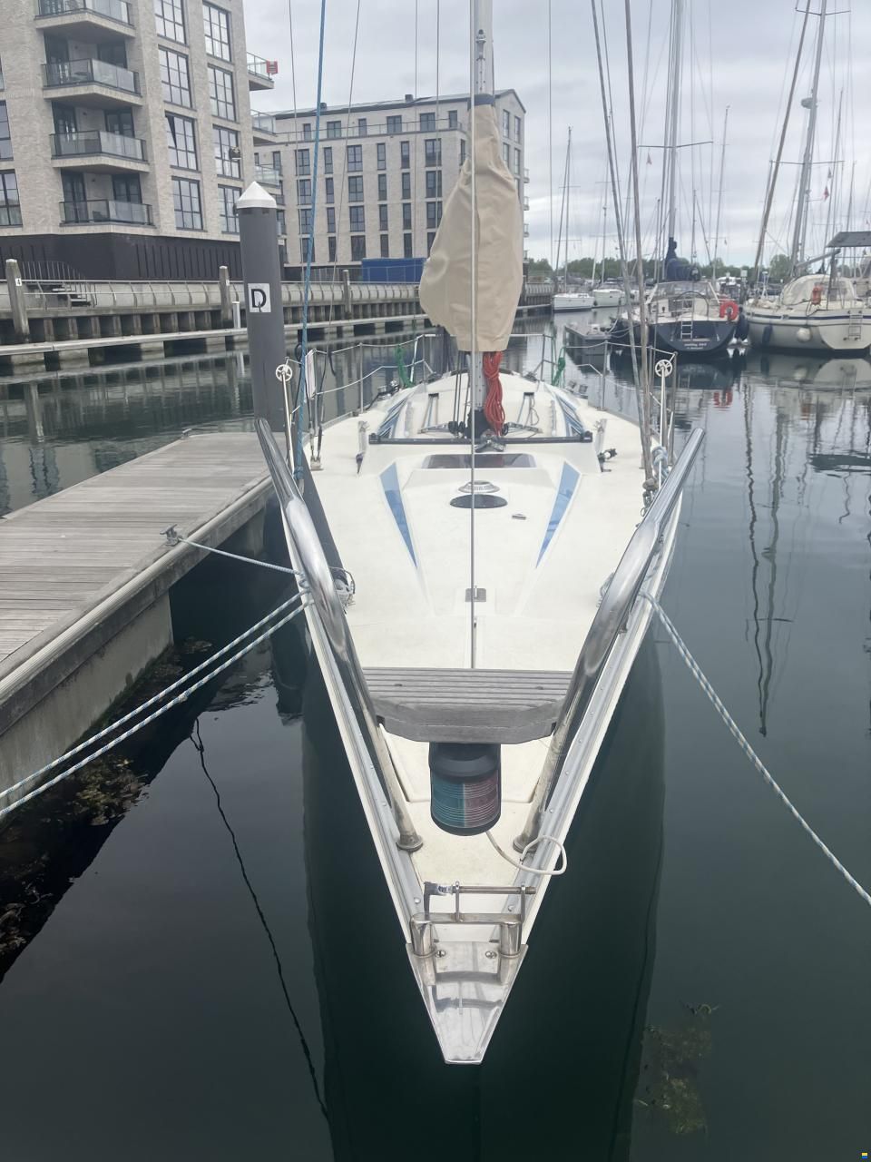Helmsmann Helmsman Lady Helmsman