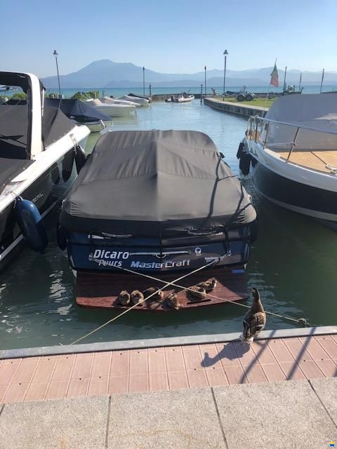 MasterCraft 215V