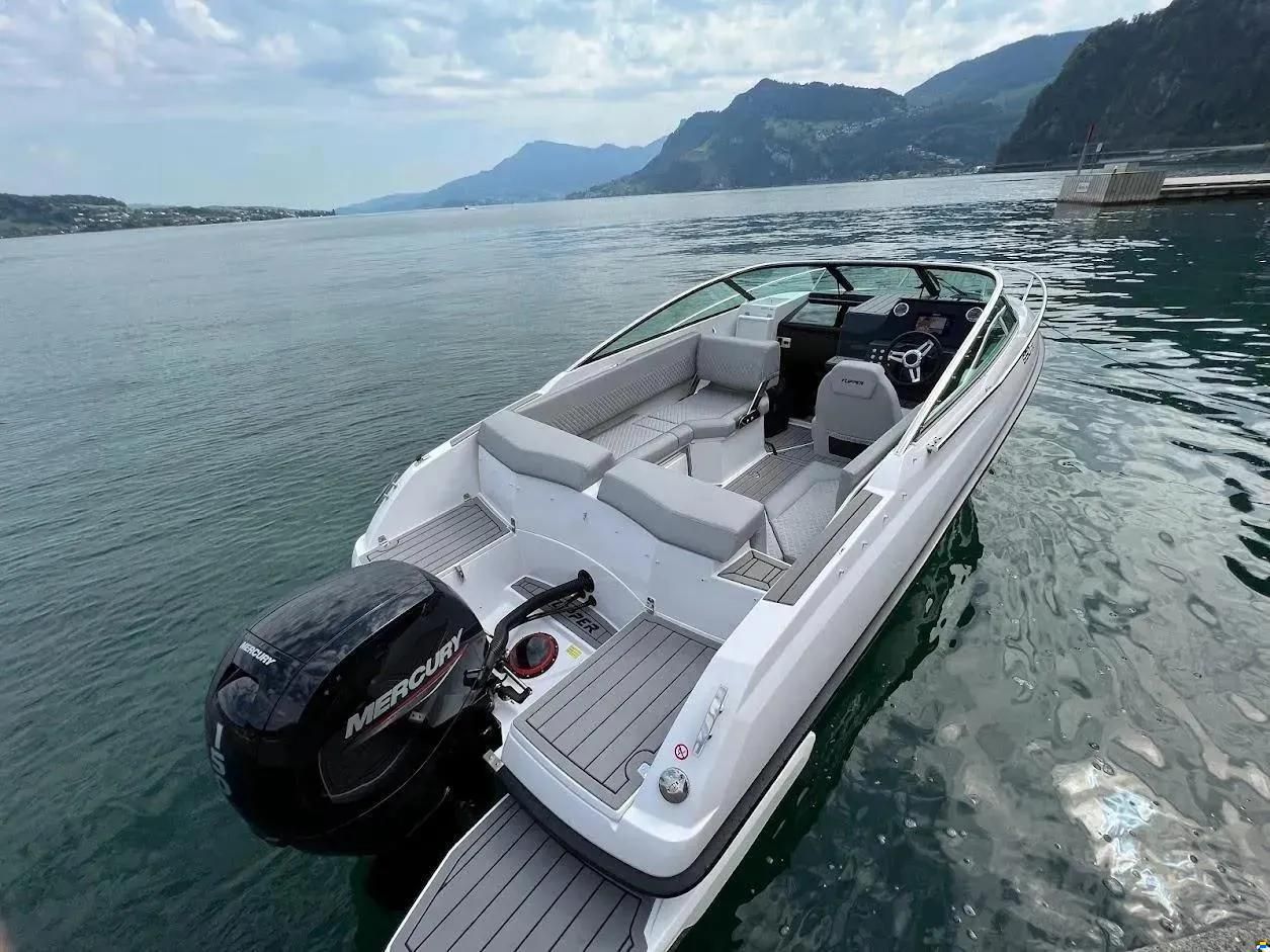 Flipper 650 Day Cruiser