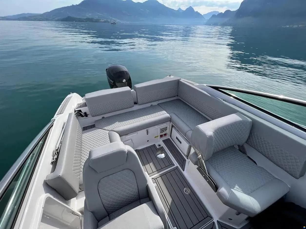 Flipper 650 Day Cruiser