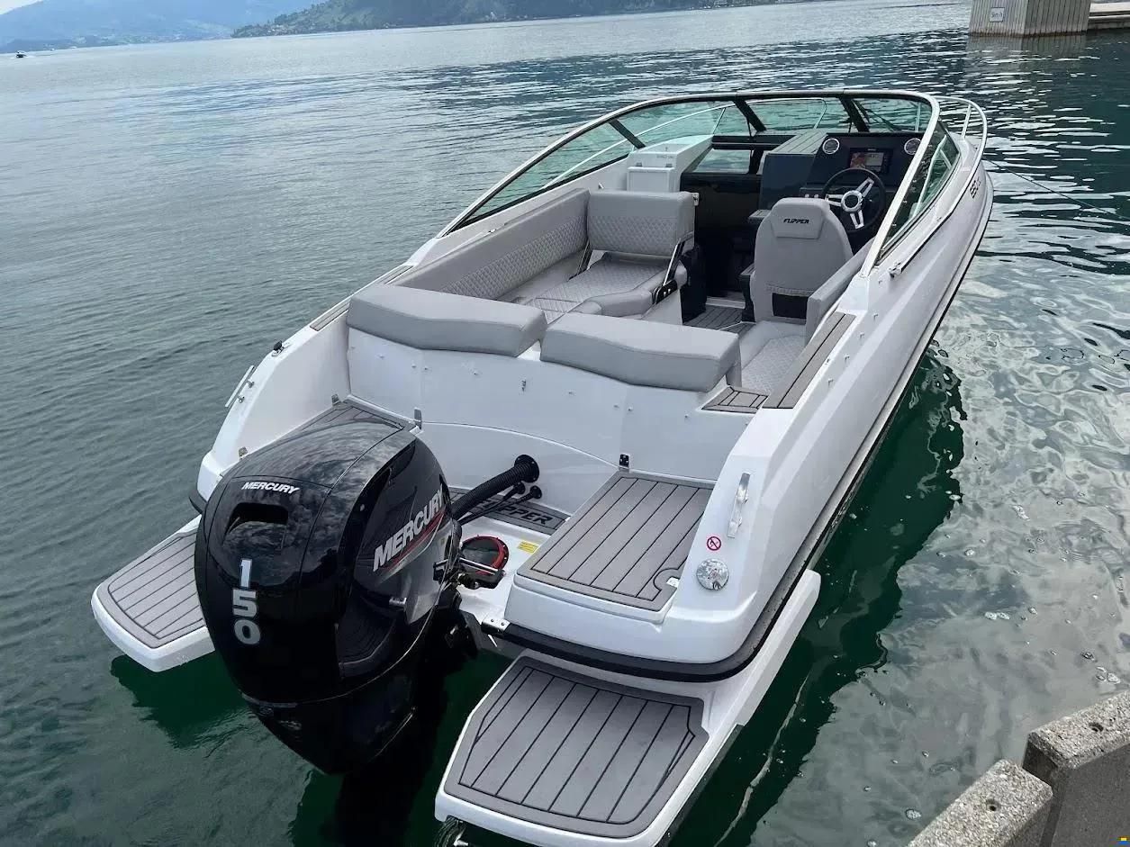 Flipper 650 Day Cruiser
