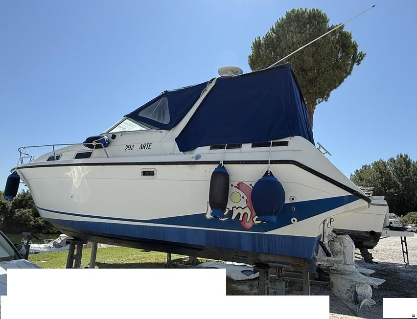 Lema Marte 290