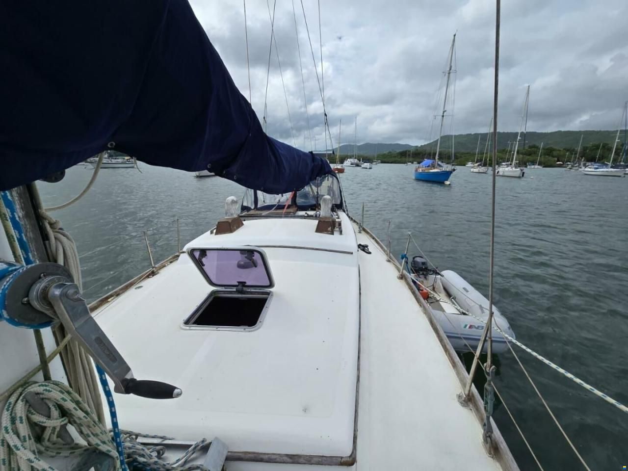 Reliance 44