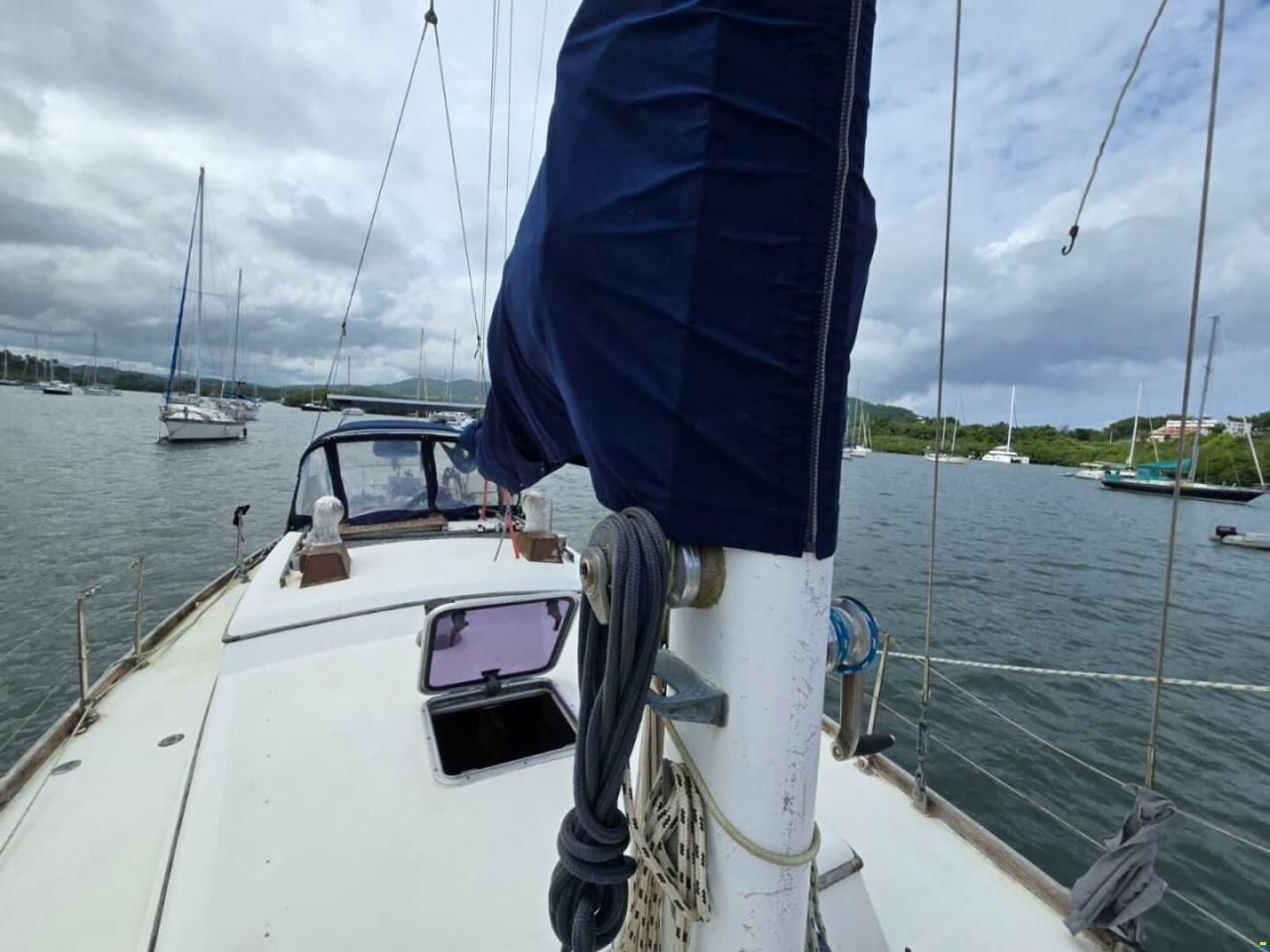 Reliance 44