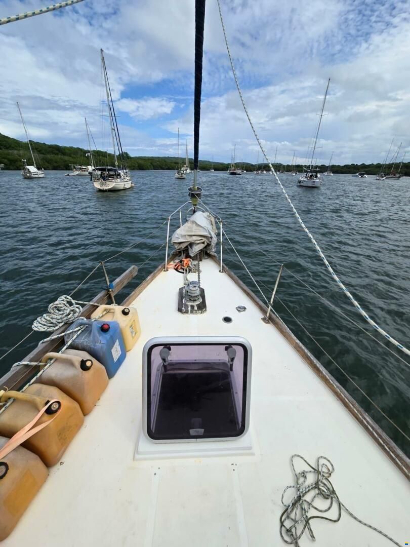 Reliance 44