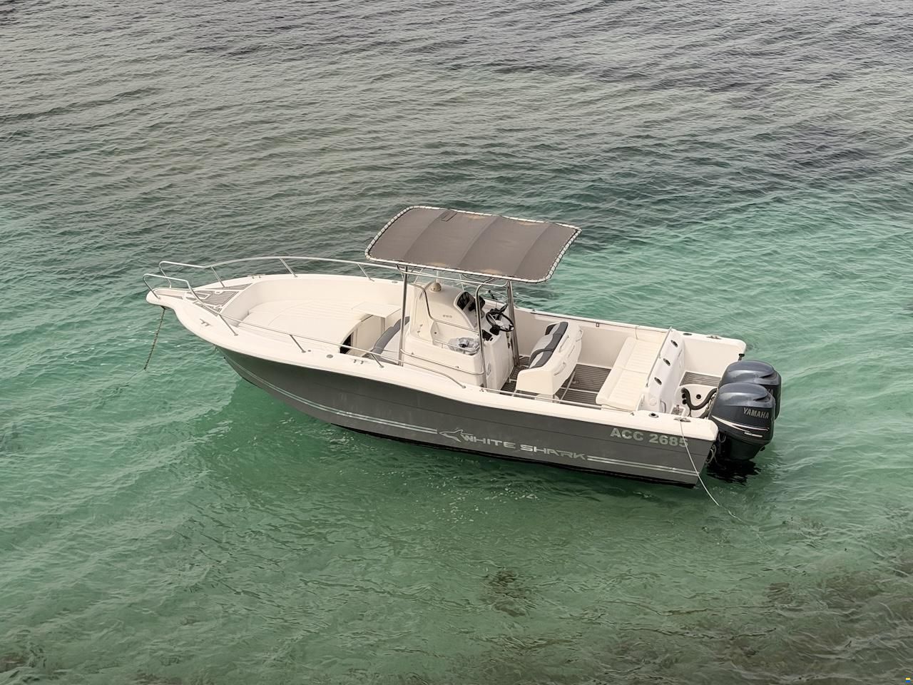 White Shark 265