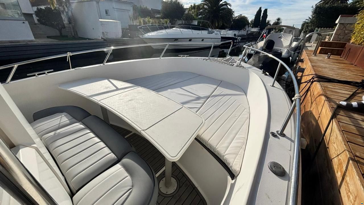 White Shark 265