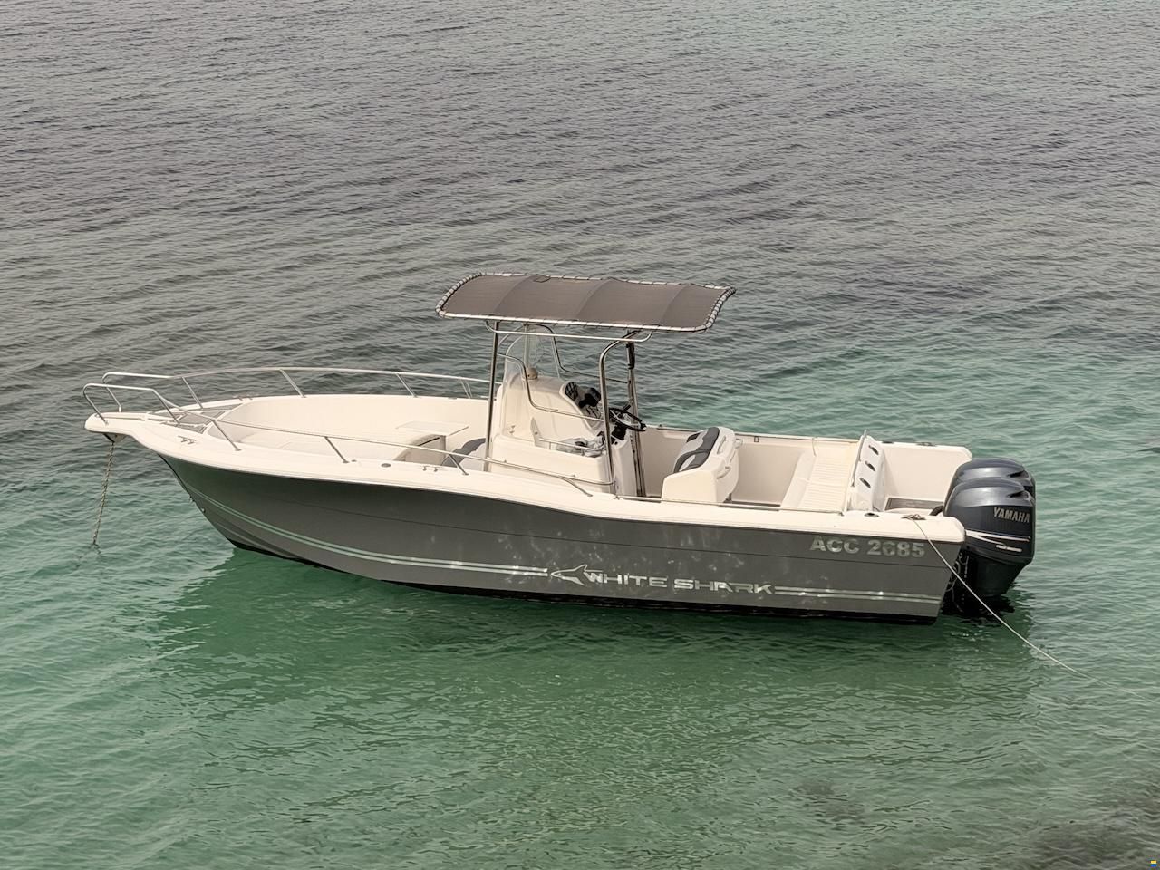 White Shark 265