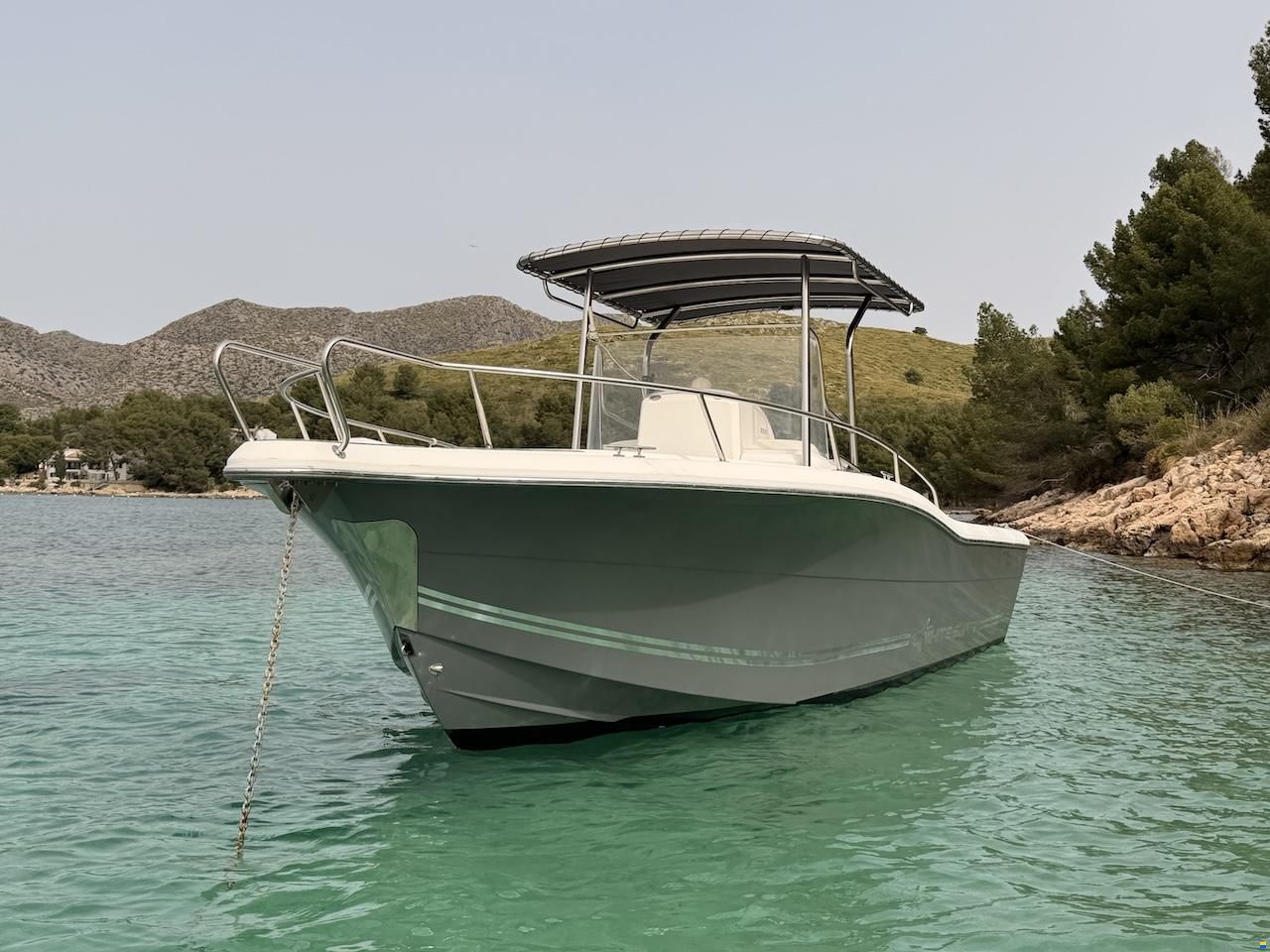 White Shark 265