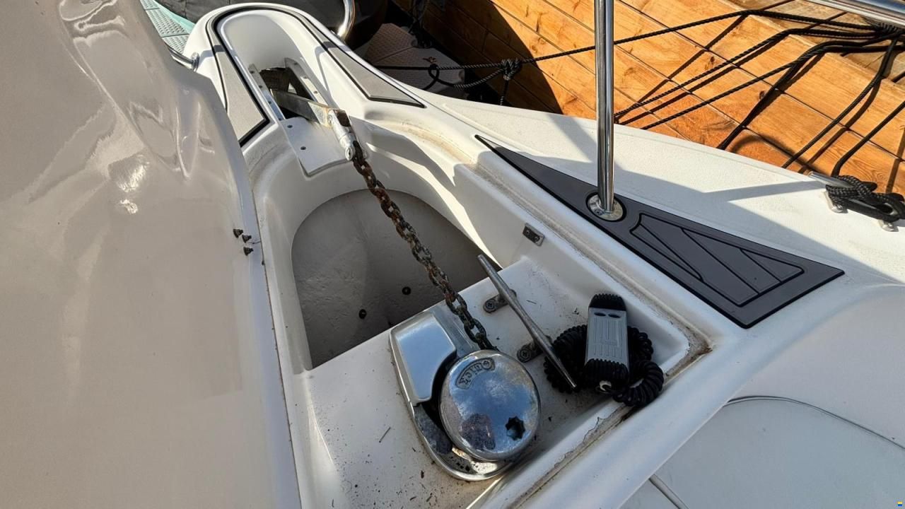 White Shark 265