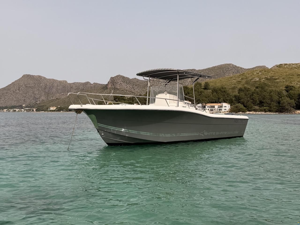 White Shark 265