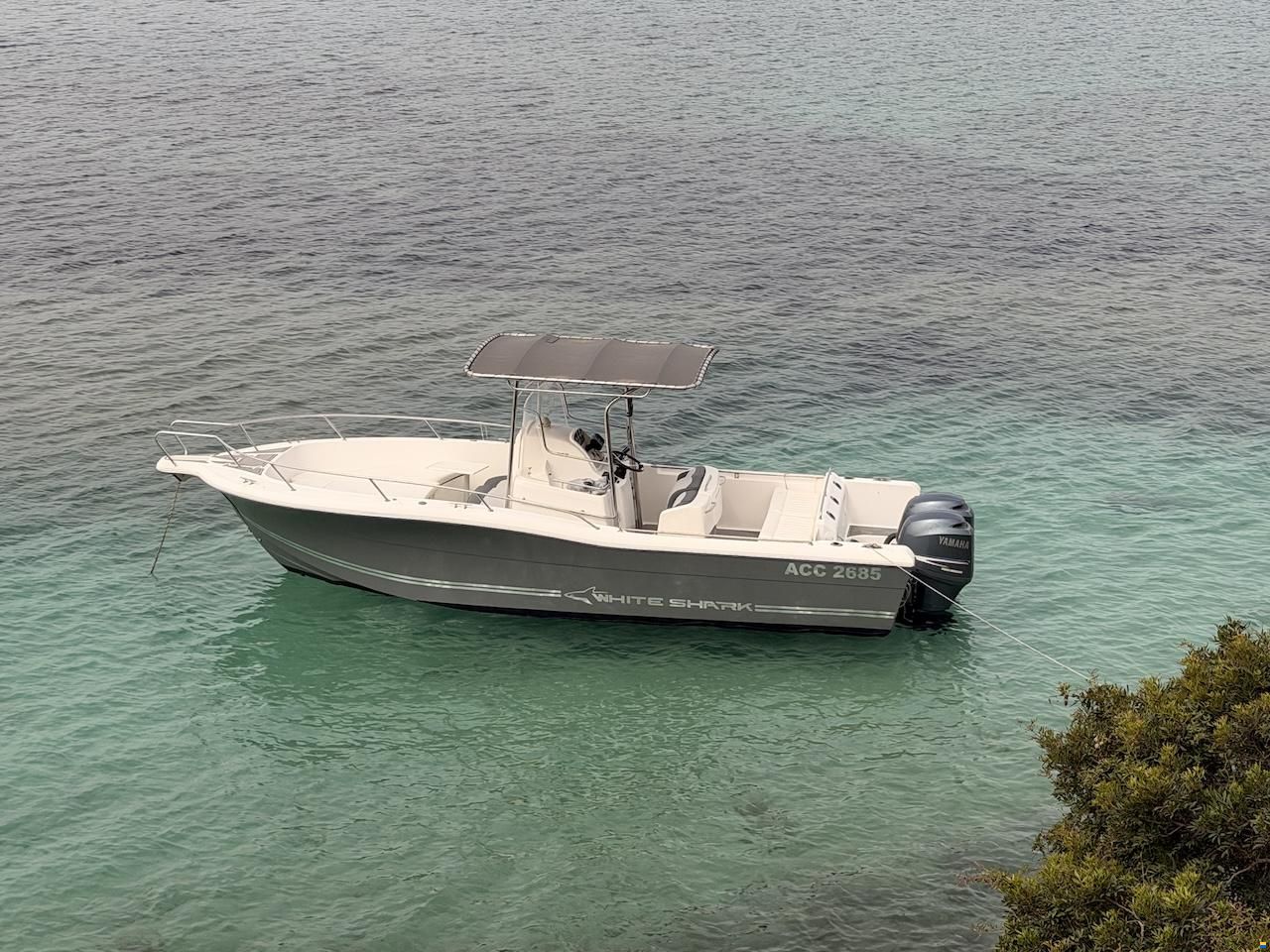 White Shark 265