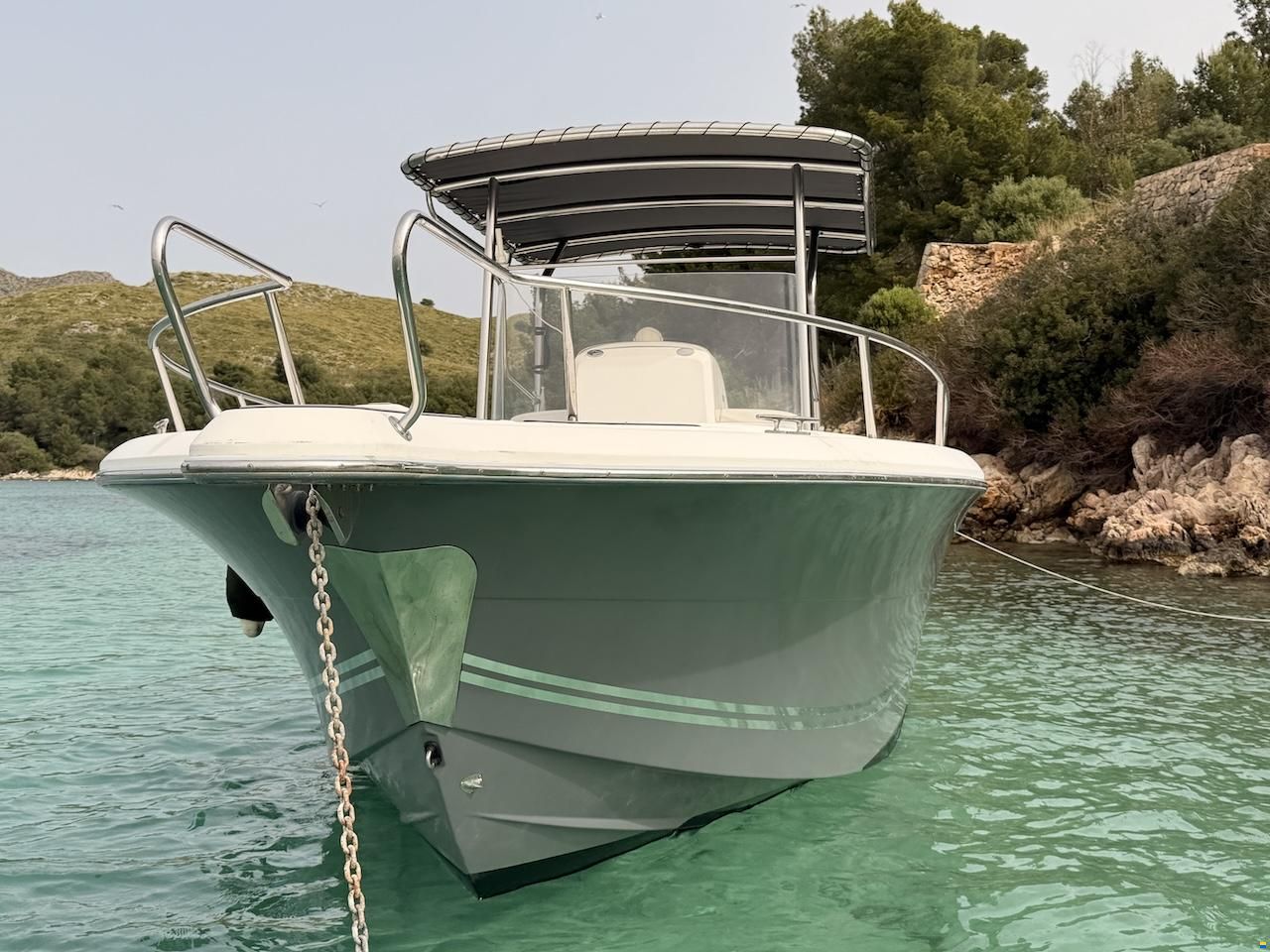 White Shark 265