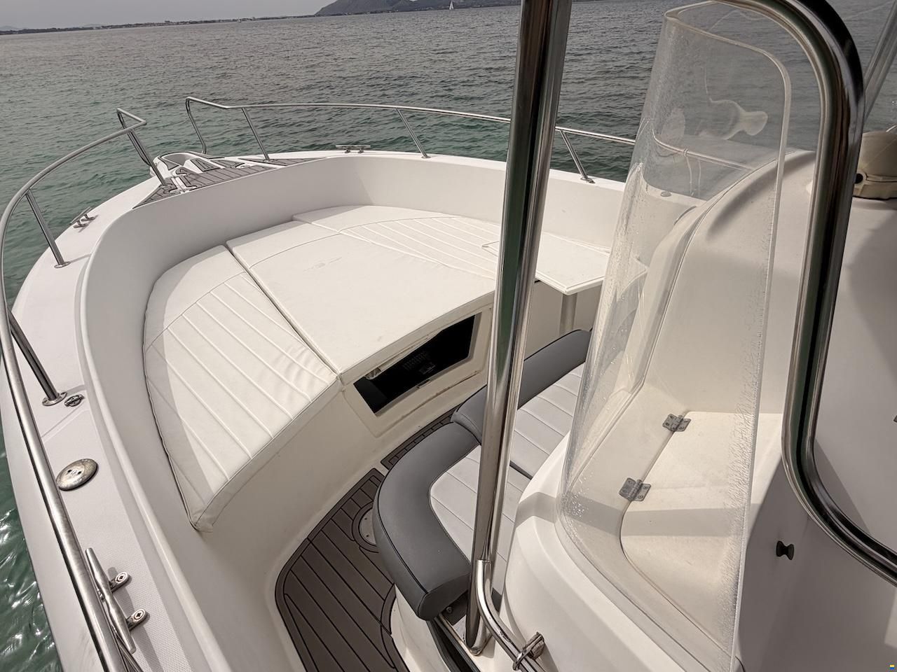 White Shark 265