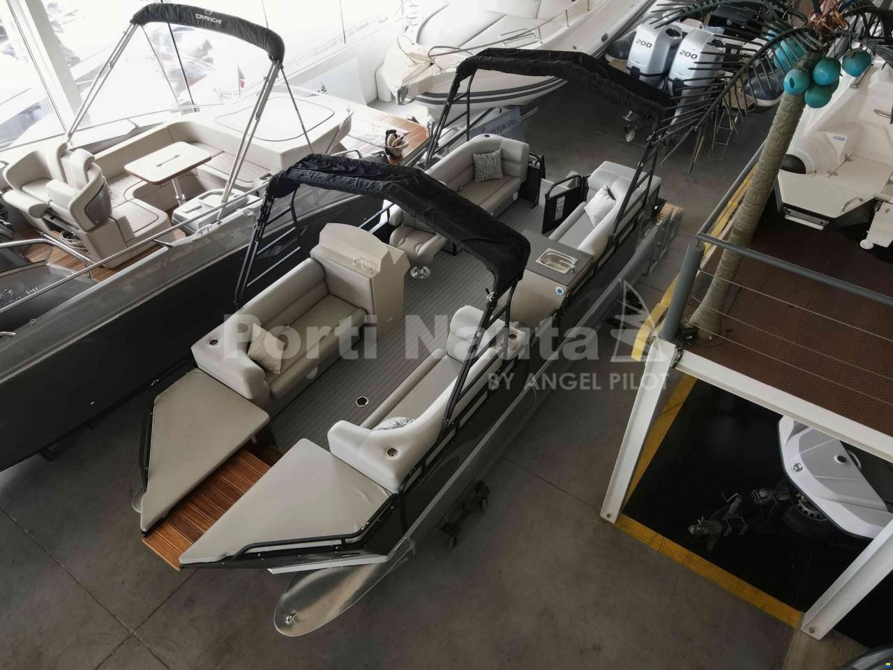 SharkCaretta S-7