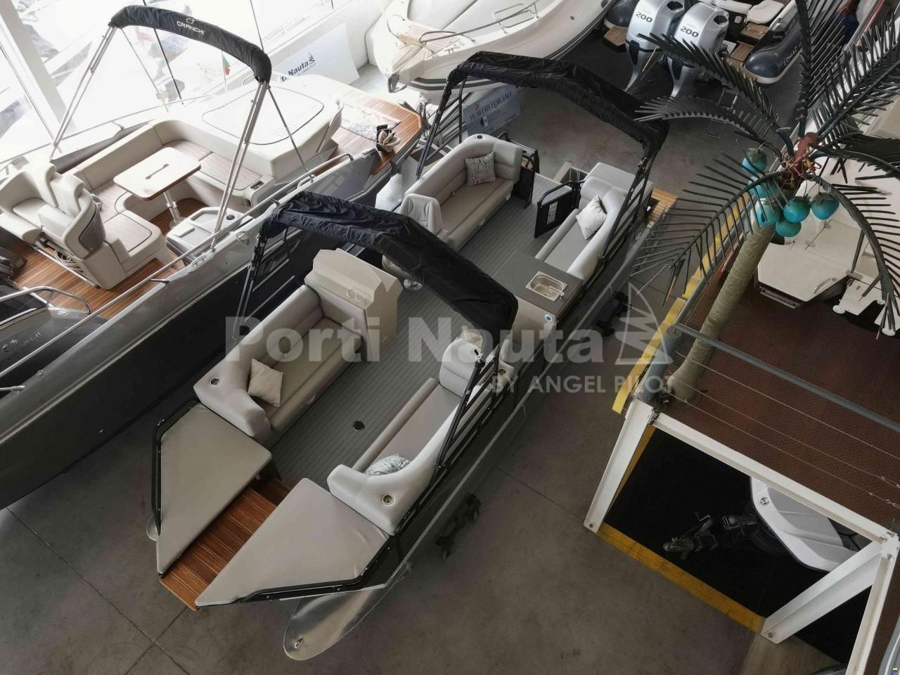 SharkCaretta S-7