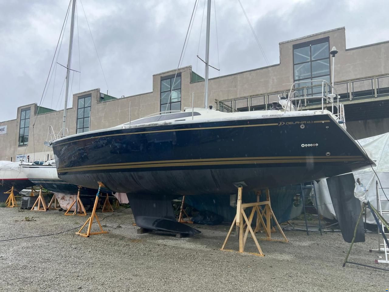 Delphia 40.3