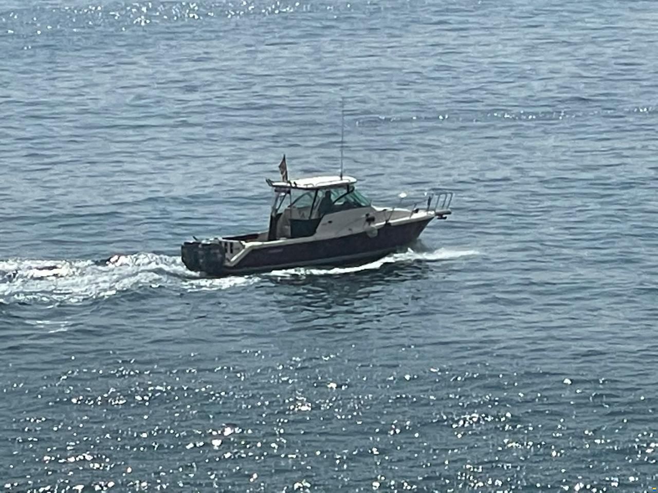 Pursuit OS 285 OFFSHORE