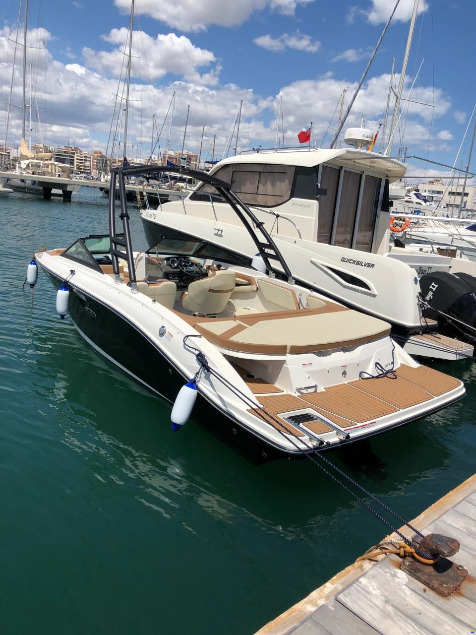Sea Ray SPX 210