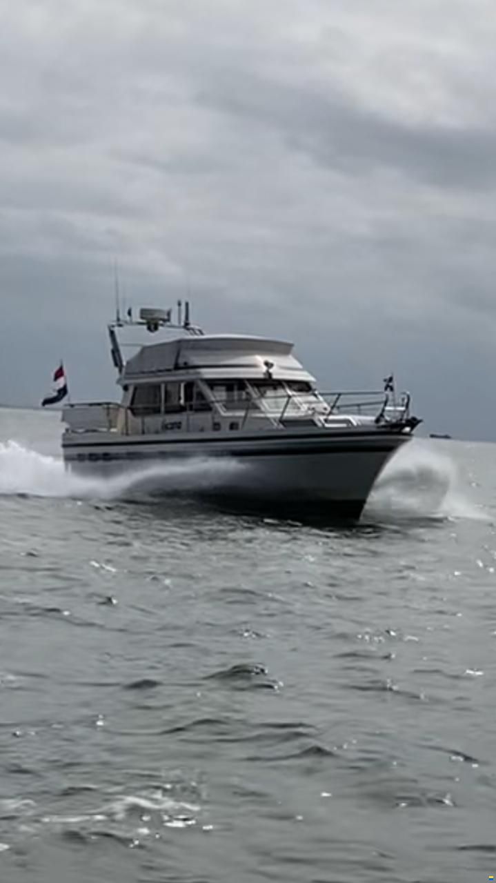 Pfeil 39