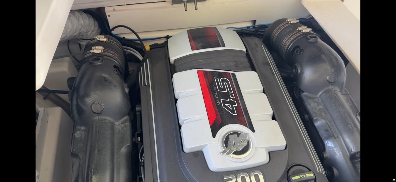 Sea Ray SPX19