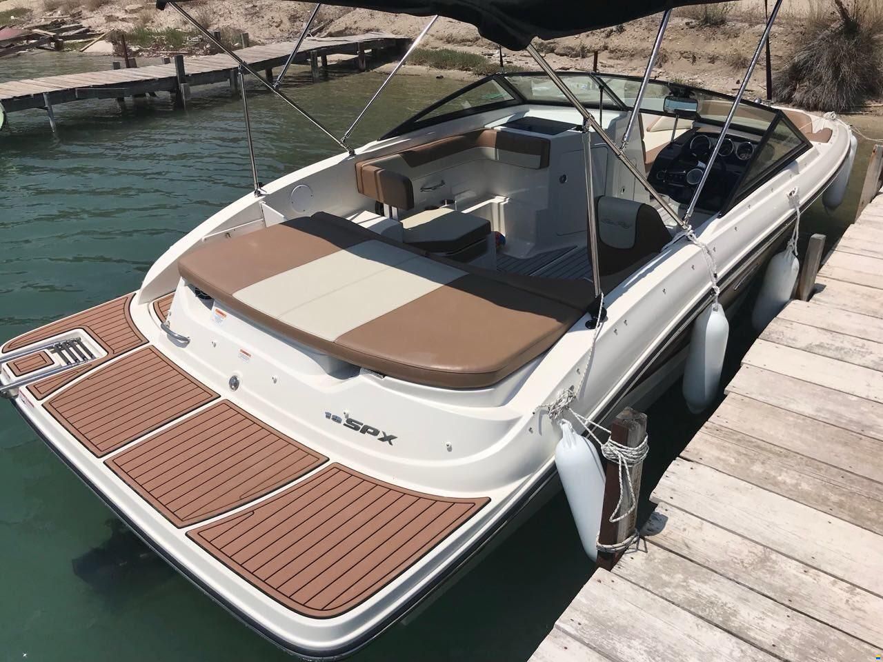 Sea Ray SPX19