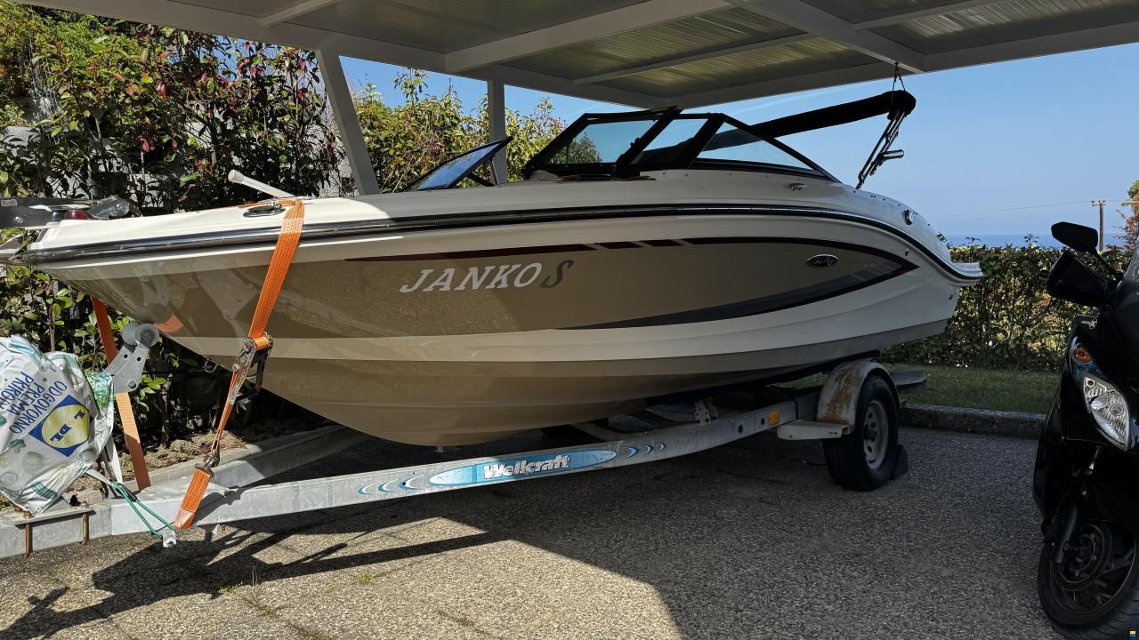 Sea Ray SPX19