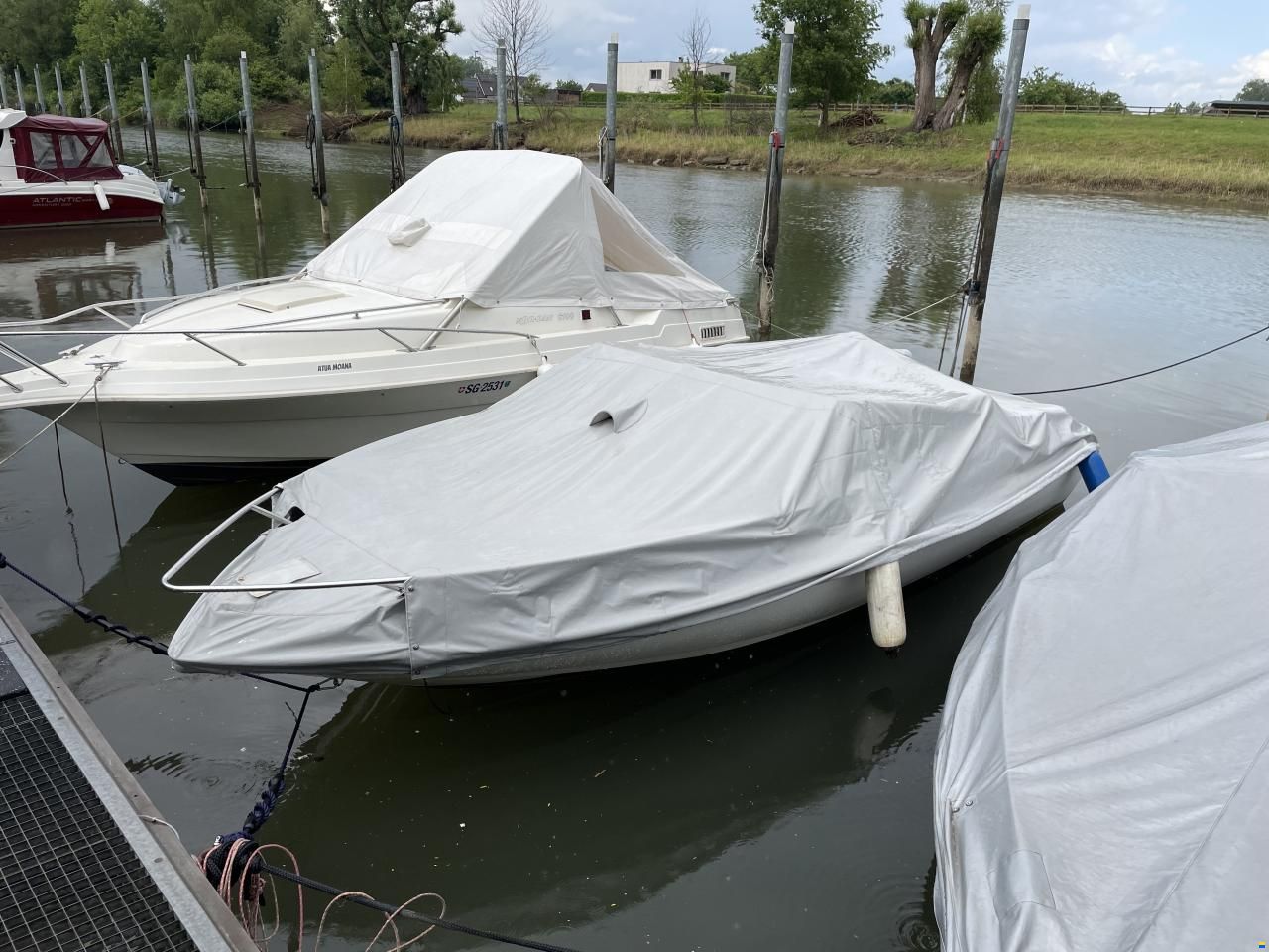 Wellcraft Exel 19 SL