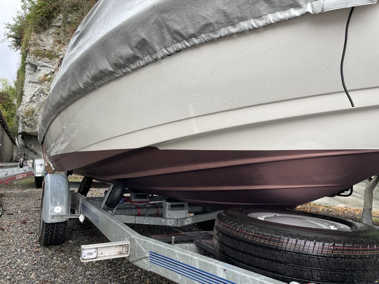 Wellcraft Exel 19 SL