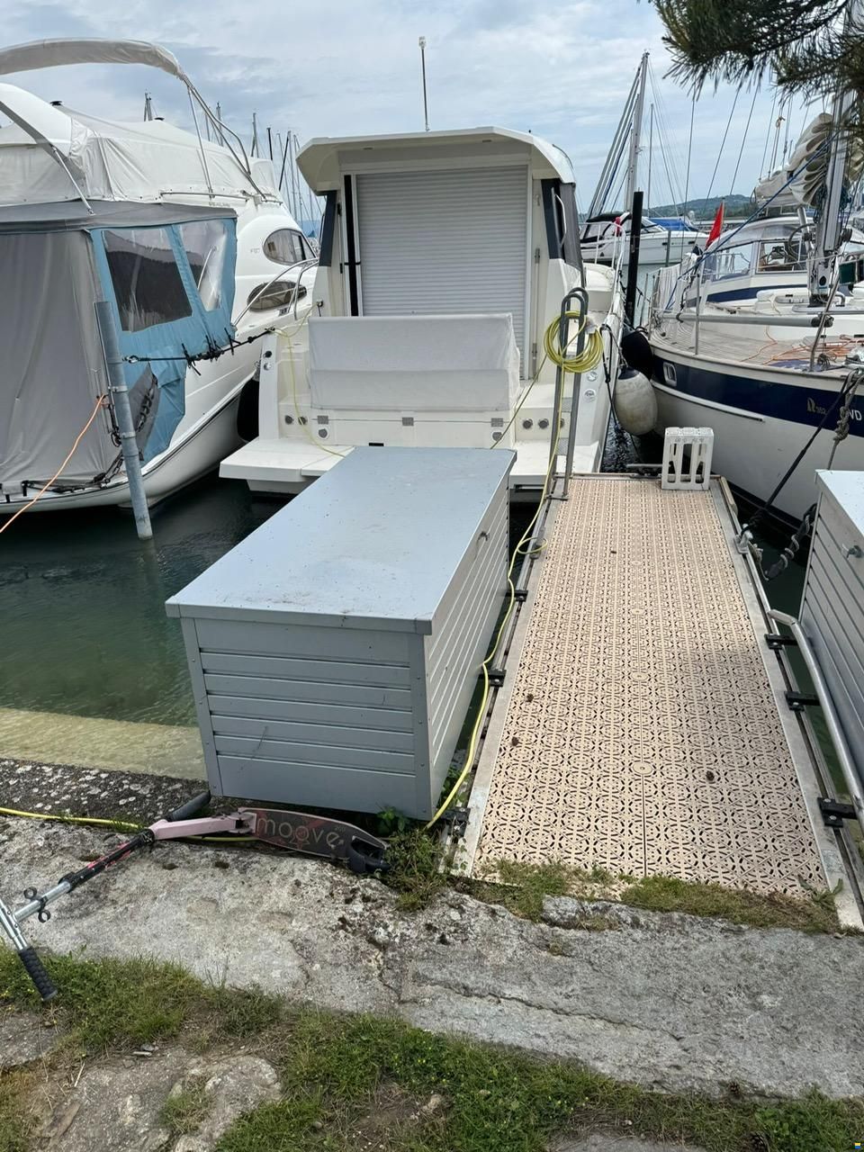 Delphia Platinum 989