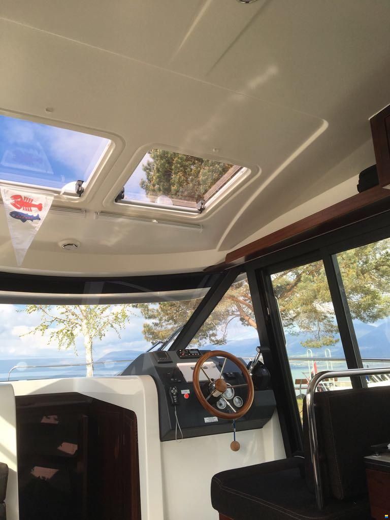 Delphia Platinum 989