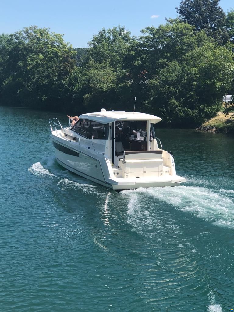 Delphia Platinum 989