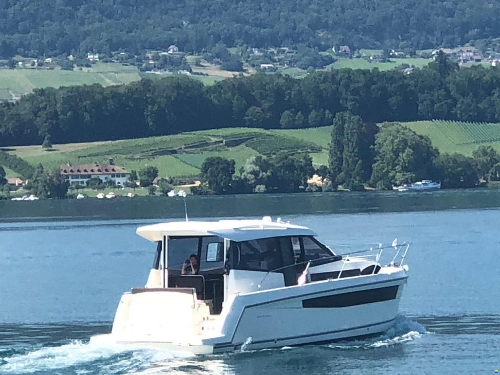 Delphia Platinum 989