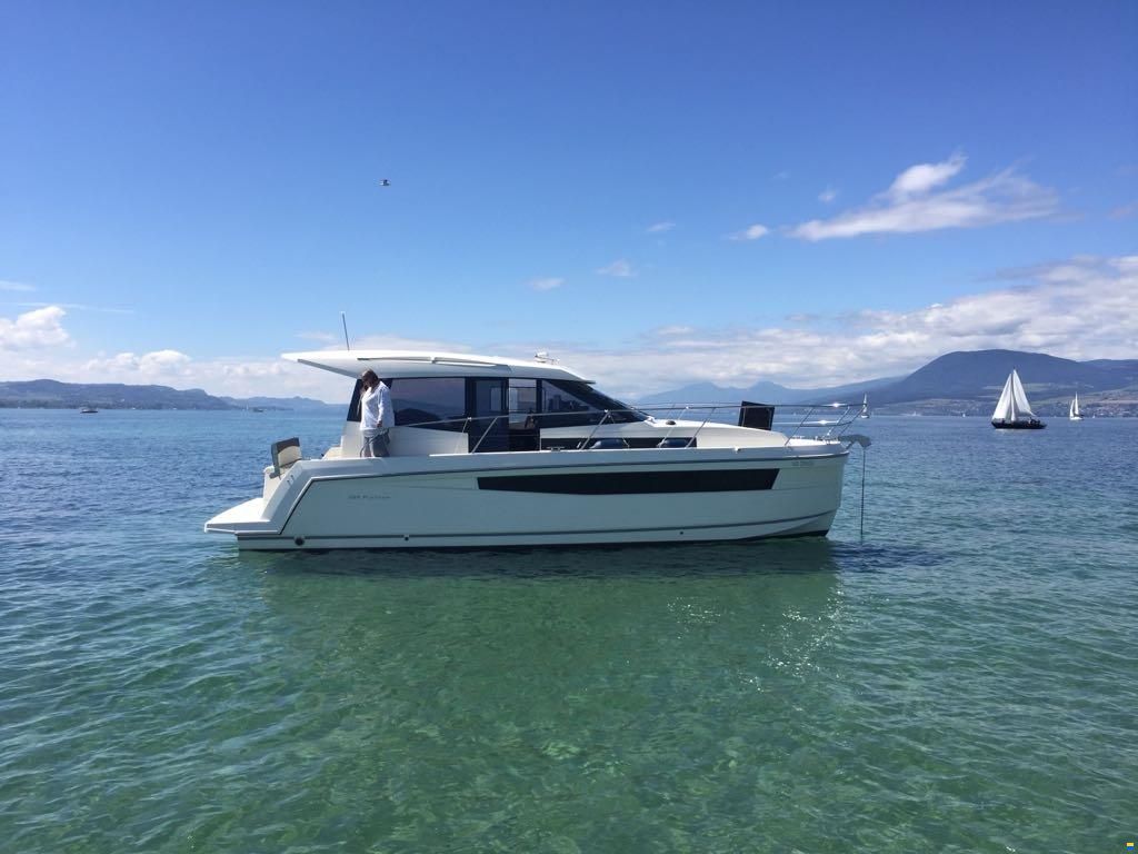 Delphia Platinum 989