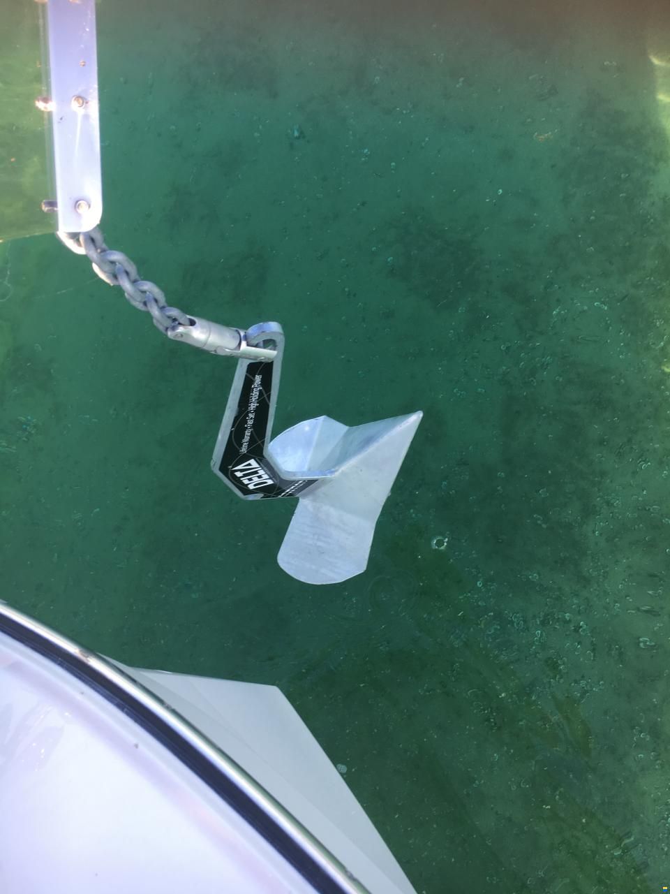 Delphia Platinum 989