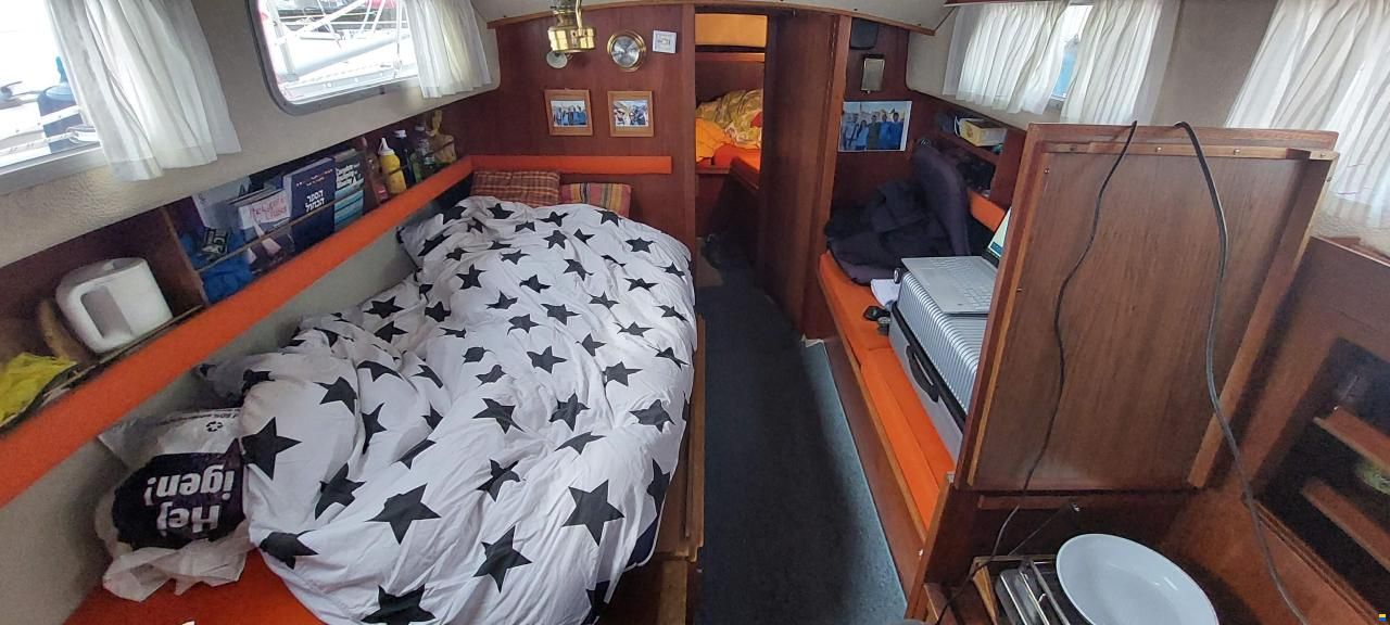 Great Dane 28