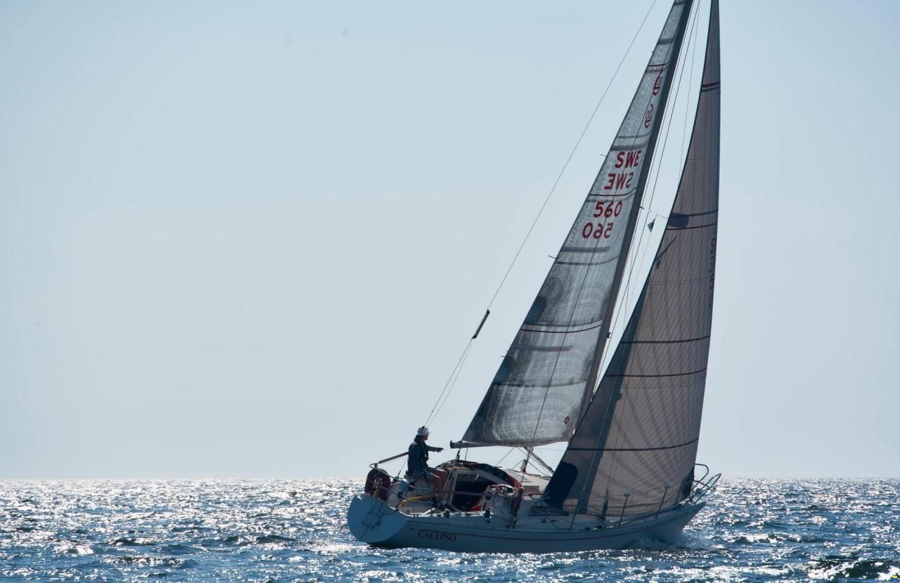 Norlin Scampi Norlin Mark IV