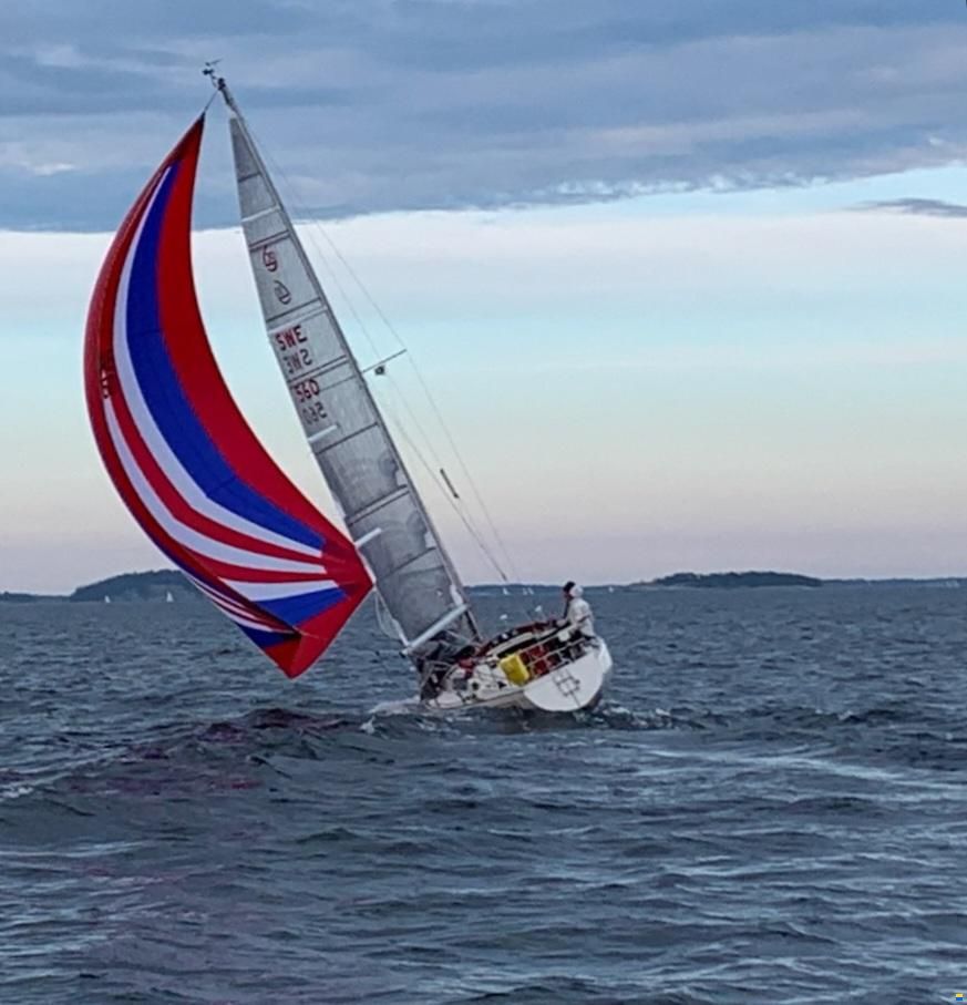 Norlin Scampi Norlin Mark IV